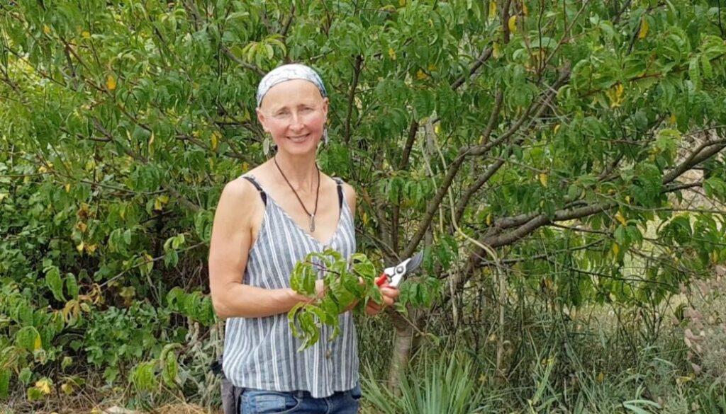 PLACE OF WONDER SYNTROPIC PRUNING